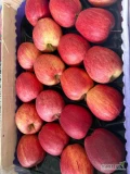 Kupię Gale paskowane i rozmyte, I i II klasa. Red Cap, Red Delicious, Golden (tylko 1 kl.) Do sortowania lub wysortowane w łuszczki...