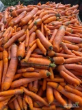 Sprzedam marchew odpadowom luz skrzyniopaleta 50 zl sztuka . Posiadam duze ilosci . Swieże . Wiecej informacjj pod numerem telefonu...