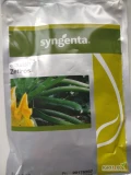 ZEFIROS F1(j.1000n) , GOLDEN GLORY F1 nasiona cukini firmy SYNGENTA ofeuje GEPWEG dystrybutor nasion. Dostawa gratis. Płatność przy...