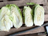 Sprzedam kapustę pekińska 0.5 -1kg zdrowa 