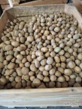 Sprzedam ziemniaki odmiana Riviera kaliber 30-55 rok po centrali zostało około 2 tony