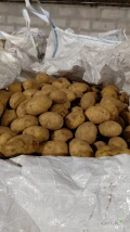 Sprzedam żółtego ziemniaka 50+ ilość tirowa posiadam global gap 