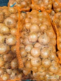 Sprzedam cebulę +4.5/5  w worku 5/10/15kg lenko. Cebula odmian Hybella i rijsburger 5 niefazorowana. 