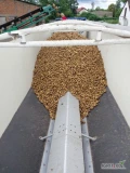 Sprzedam ziemniaki frytkowe w ilości około 600ton.