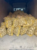 Sprzedam 100 po 15 kg. worków ziemniaka odmiana Soraya .Świeżo naszykowany 5+ ale większość 6-8 cm.Okolice Witoni powiat Łęczycki...