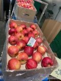Kupie Red Delicious,.najadared Golden Tylko KA. Zapraszam do kontaktu, wszystkie szczegóły pod numerem