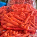 Sprzedam marchew młoda,ilości do 6 ton możliwy transport,worek wiązany,lub inne opakowanie