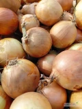 Uwaga ! Sprzedamy hurtowe ilości cebuli kal. 45-80 ( import) obcięta, pakowana w dowolne worki 10/15 kg lub bb i luzem na wannę. 