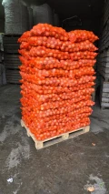 Witam mam do sprzedania cebule kaliber 5-7 i 7-9. Pakowane w worki 15kg. Posiadam możliwość transportu 