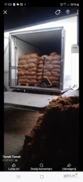 Ziemniaki jadalne Lilly, do 500 sztuk jednorazowo,  8zł/woreczek 15kg,  Chełmno,  kujawsko-pomorskie,  tel. 6'6'3...