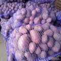 Sprzedam 450 worków ziemniaków Baltic rose 
