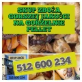Kupię zboże słabej jakości na pellet i gorzelnię również paszowe i konsumpcyjne 