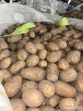 Sprzedam ziemniaki odmiana Lili, Soraya towar zdrowy ilości tirowe sort 50+ opakowanie oraz cena do uzgodnienia 