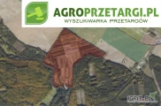 Przetarg na dzierżawę 16,13 ha gruntu rolnego (roczna – 4,39 ha, 6-letnia – 11,26 ha, bezterminowa – 0,48 ha) – RIIIb, RIVa, RIVb,...