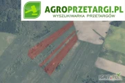 Przetarg na dzierżawę 16,20 ha gruntu rolnego na 5 lat – ŁIII, ŁIV, ŁV, ŁVI, W-ŁIV, W-ŁV, W-ŁVI, PsV, W, N