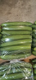 Sprzedam Ogórka szklarniowego 2 klasa. 2zł/kg netto. Duże ilosci. W skrzyniach, worku lub w kartonie. Możliwy transport. Tel 884 883...