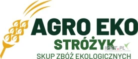 Kupimy 500 ton kukurydzy ekologicznej. Terminowe odbiory i płatność.