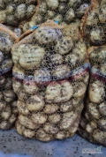 Sprzedam ładne grube ziemniaki młode Riviera, ilość oraz opakowanie do uzgodnienia 