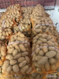 Witam sprzedam ziemniaki jadalne workowane kaliber 5+ odmiana Queen Anne 