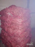 Sprzedam marchew handlową nie myta workowana worki 10kg cena 12zl worek. Możliwość transportu do klienta. 