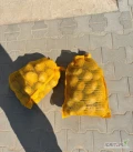 Kupię stare ziemniaki ilości tirowe import lub polskie opakowanie bb lub 10 kg, grube kaliber 50+ 55+ z jasną skórą.