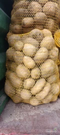 Sprzedam ziemniaki Jurek, Michalina worek 15kg wiązany, zapraszam więcej info tel.