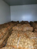 Sprzedam duże ilości ziemniaka odmiana Gala  .Możliwy transport dla klienta. 798489141