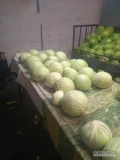 Kapusta Biała  1,5-5 kg.Towar z chłodni,ilości Tir.... Opakowanie karton-box 1 tona na palecie.Płatność przy...