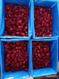 Sprzedam mrożoną truskawkę. Kraj pochodzenia - Egipt. Cena:1,20€/kg - Klasa A. - Opakowanie - karton po 10 kg.  Proszę dzwonić na...