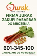 Firma JURAK zakupi każdą ilość rabarbaru na MROŻENIE i TŁOCZENIE (MINIMUM 10 TON). Gwarantujemy najwyższą cenę!!! Zapewniamy...