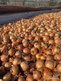 Sprzedam cebulę żółta kaliber 4-5/5-7/7+  worek 10/15 kg bigbag luz ilości tirowe i paletowe 