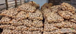 Sprzedam ziemniaki odmiany Soraja z jasnej ziemi pakowane w worki 15kg ilość do uzgodnienia.