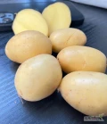 Sprzedam drobne ziemniaki żółte podłużne oraz okrągłe. Kaliber do 45.