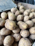 Sprzedam ziemniaki jadalne okrągłe oraz podłużne. Fito, odprawa. Kaliber do uzgodnienia. Pakowane worek szyty 10kg lub 15kg. Etykiety...