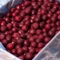 Sprzedam wiśnie mrożoną, 80 ton, klasa 1, pakowane w karton 10 kg, posiadam aktualne badania na pestycydy oraz metale ciężkie....