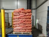 Sprzedam cebule żółtą i czerwoną, worek 5,10,15kg, kaliber 50-70 i 70+