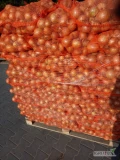 Sprzedam cebule zasuszoną w worku 10 lub 15 kg, kaliber 5+
