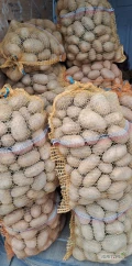 Sprzedam ziemniaki Queen Anne 4,5 + szykowane pod zamówienie worki 15 kg w Sprzedaży również paszowy ziemniak 10 gr kg oraz kaliber...