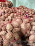 Sprzedam ziemniaki jadalne czerwone Red Lady, kaliber 50+, ładny gruby towar, worek 10kg bądź 15 kg, ilość ok 19 ton, cena do...