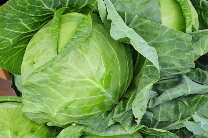 Kapusta - ceny na rynkach hurtowych i w spółdzielniach