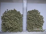 Sprzedam groch zielony ptasi w dwóch rozmiarach. Minimum logistyczne 1 tona. Możesz połączyć na palecie różne produkty. Telefon 510...