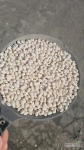 Sprzedam 22t. fasoli białej (perłowa) w Big bagu. Towar suchy ,czysty