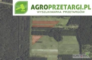Przetarg na dzierżawę 8,26 ha gruntu rolnego na 1 rok – RIVa, RIVb, RV, RVI