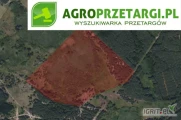 Przetarg na dzierżawę 41,46 ha gruntu rolnego na 5 lat – RIVa, RIVb, RV, RVI, PsV, PsVI, W-PsV, Lz, N