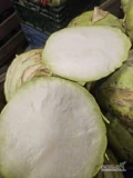 Sprzedam kalarepe Kosak 