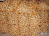 Sprzedam ziemniaki jadalne odmiany Mazur lub Connect, ilości od 50 do 300 worków po 15kg. Cena 5zł za worek. Ziemniaki czyste z lekkiej,...