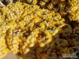Sprzedam ziemniaki Soraya 1zł-1kg pakowane w worki po 15kg kaliber pow 5cm
