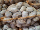 Sprzedam ziemniaki jadalne odmiany: Jurek, Melody,Queen Anna i Denar. Pakowane w workach 15kg, Ilości większe i mniejsze. Cena do...