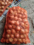 Sprzedam cebulę w workach 15 kg Lenko, kaliber od 5 do8 cebula sucha,zdrowa twarda.Ilość ok. 25ton.