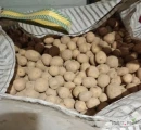 Sprzedam ziemniaki Gala. Z jasnej ziemi. Big bag.